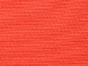 100D Lmitation silk cotton(仿錦棉磨毛)
