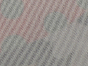 Double faced pile polyester(雙面絨)
